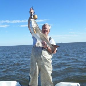 Meet your Posher, Bill